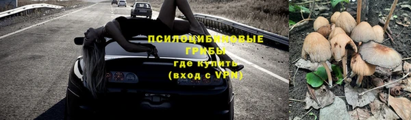 мет Корсаков